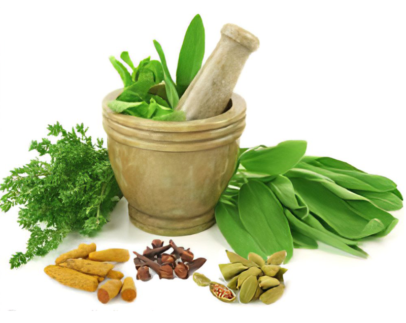 Ayurvedic treatment for phimosis at Dr. Monga Clinic in Delhi