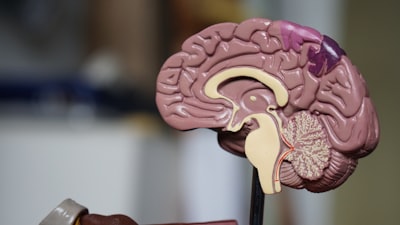 Neurology nerve medical illustration